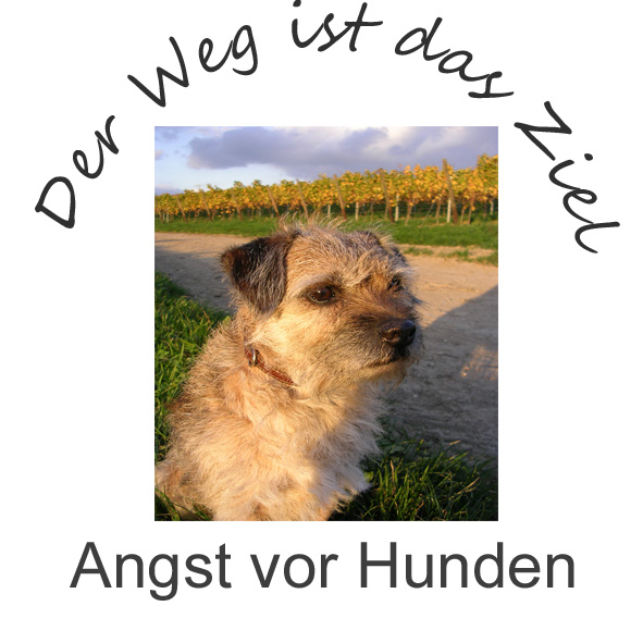 Link Angst vor Hunden