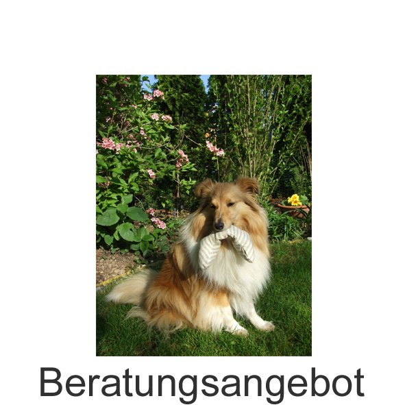 Link Beratung f�r Hundefreunde