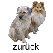 zur�ck zur Startseite